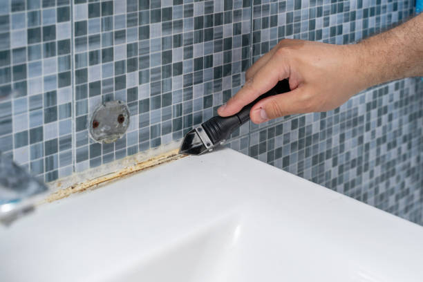 Best White Mold Remediation in Spring Valley, IL