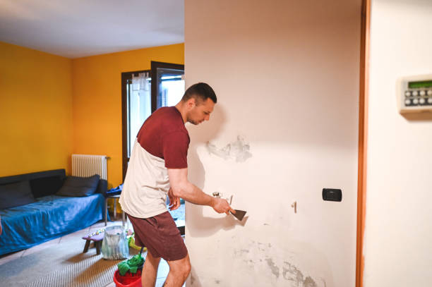 Professional Mold Remediation in Spring Valley, IL